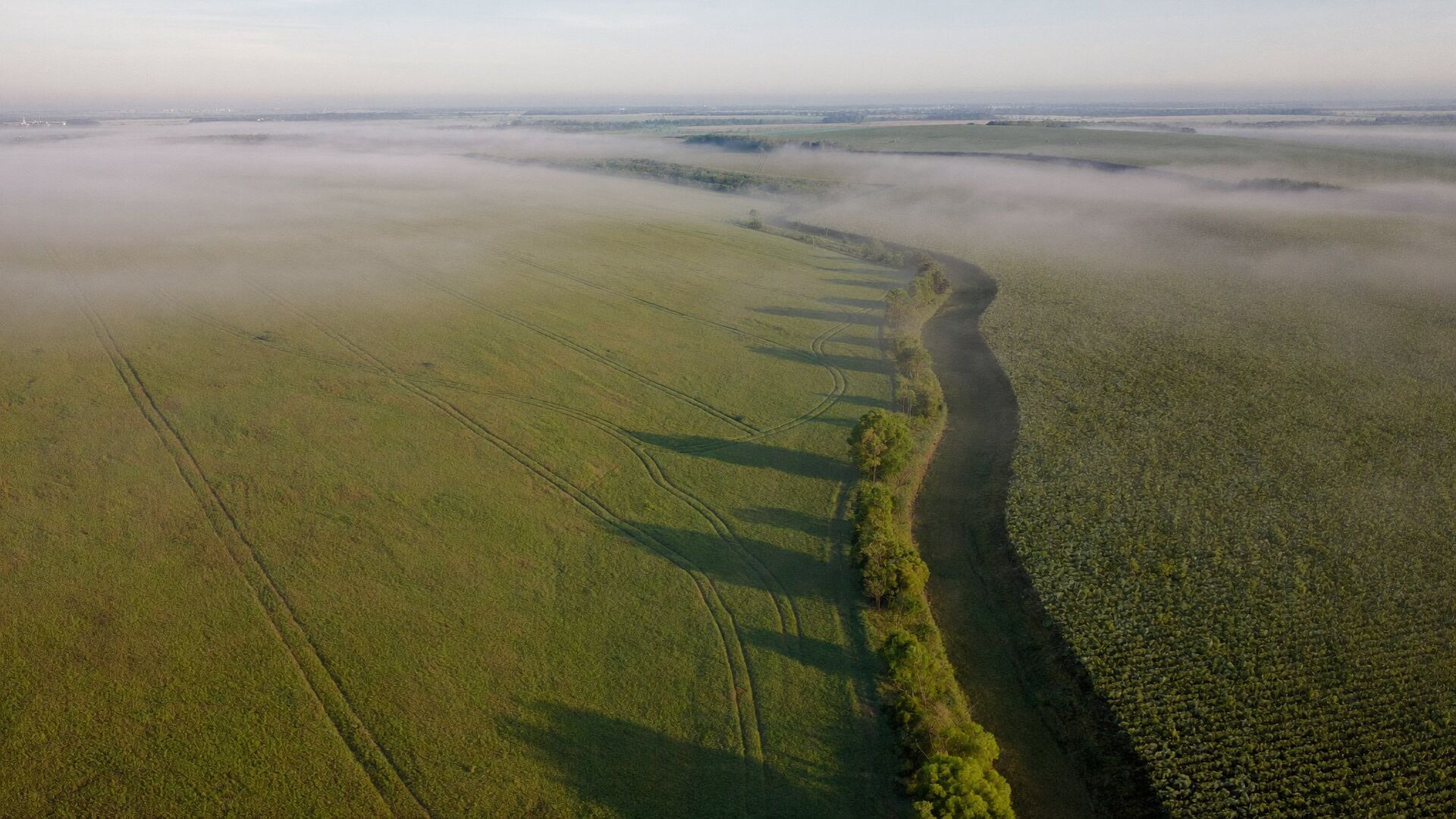 Aerial view of green farmland and a wooded creek corridor under morning fog
