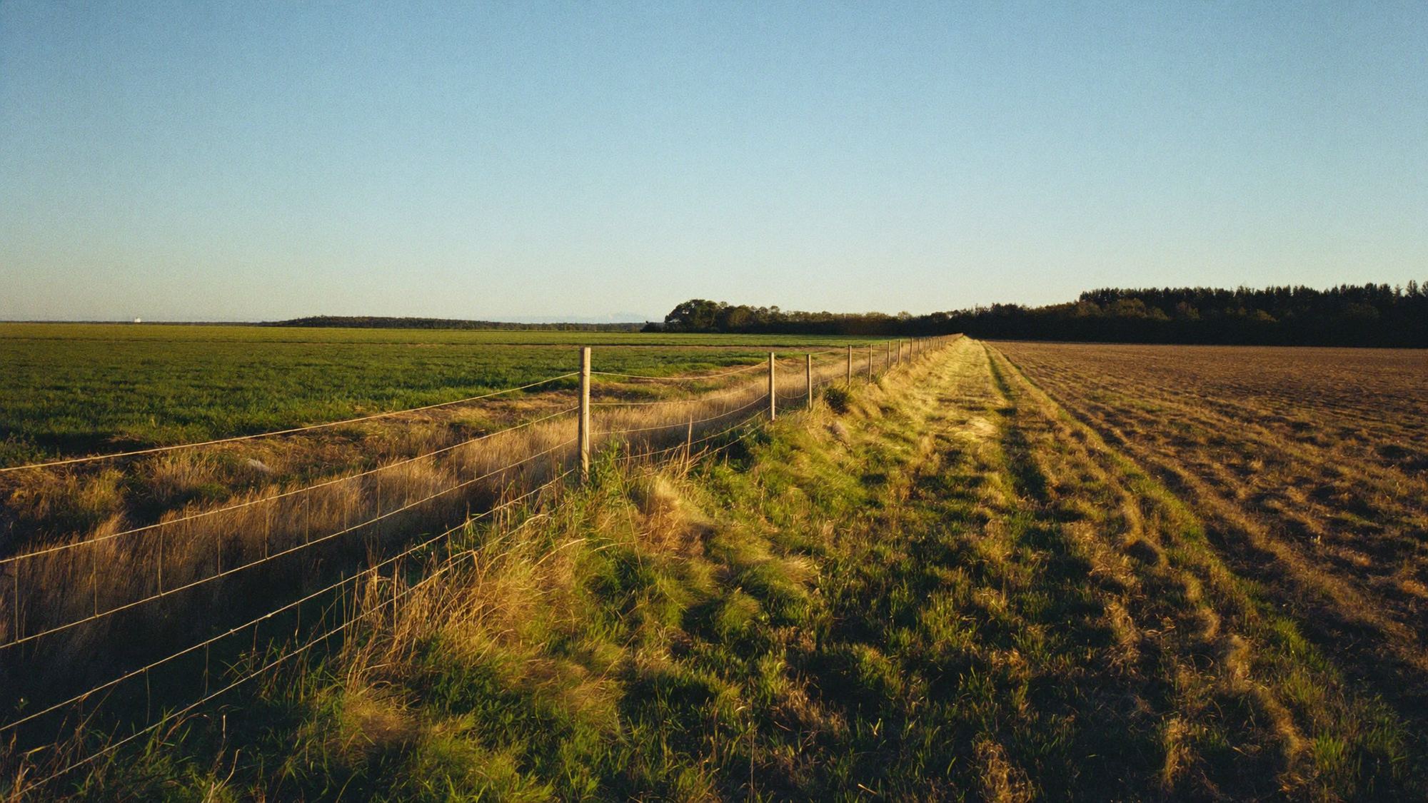 A fence line dividing two tracts of open ground at low sun